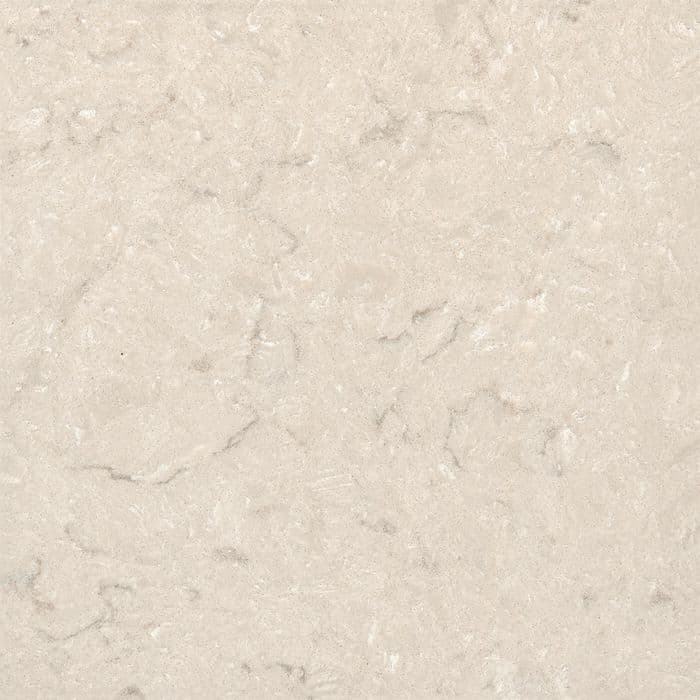 Oyster Grigio