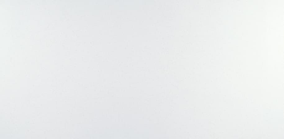 Calico White