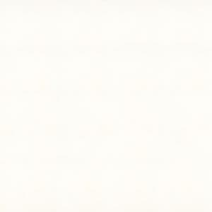 1111 Vivid White