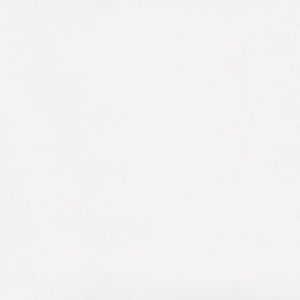 6011 Intense White
