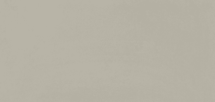 Pure Gray Light