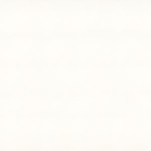 1111 Vivid White