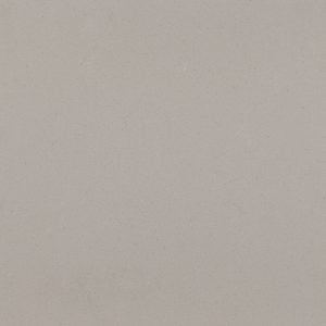 4004 Raw Concrete