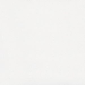 6011 Intense White