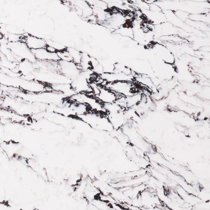 Calacatta Viol