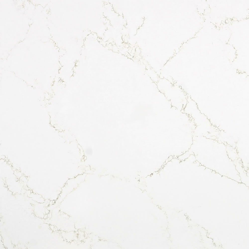 Calacatta Prince — full slab