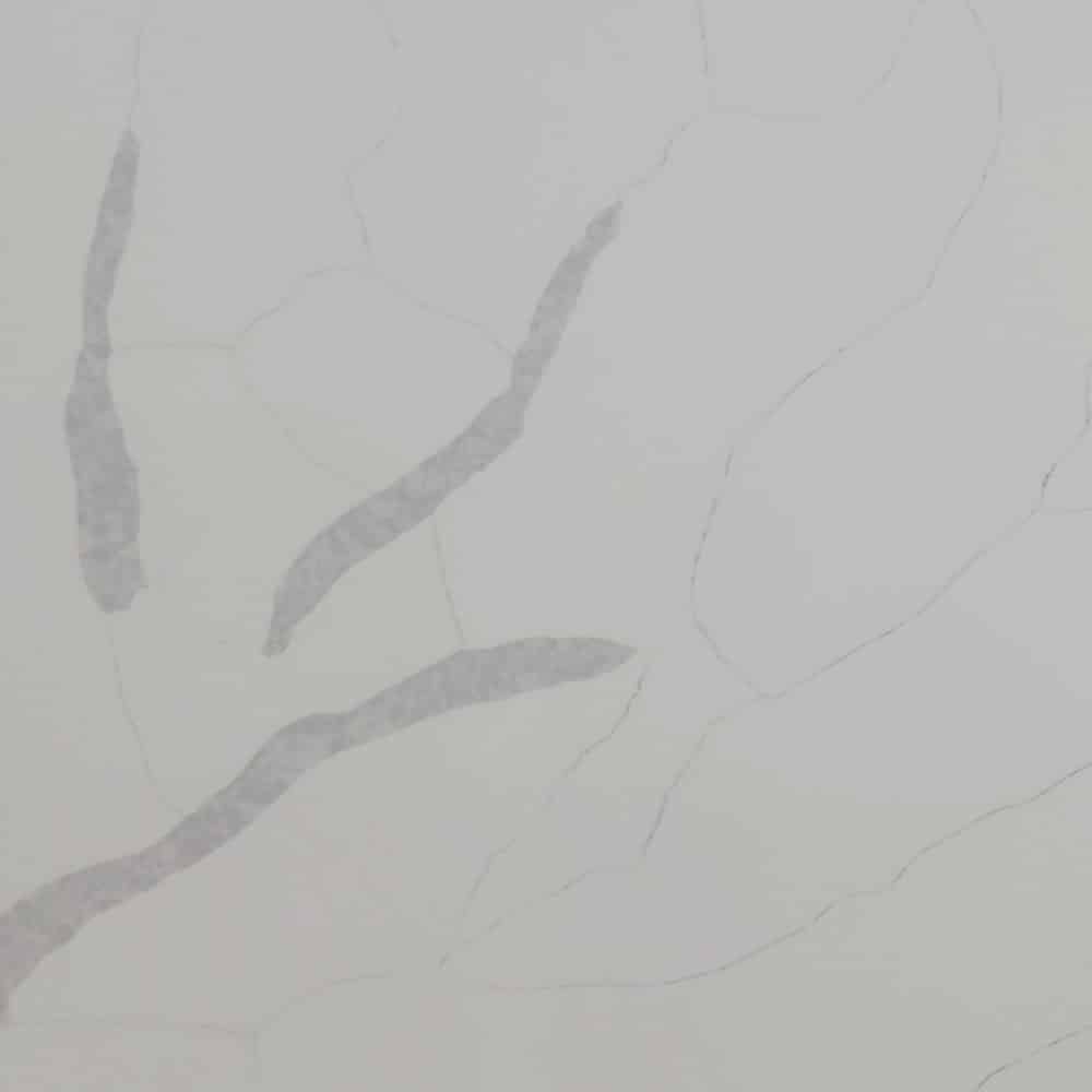 Calacatta Simplex — full slab