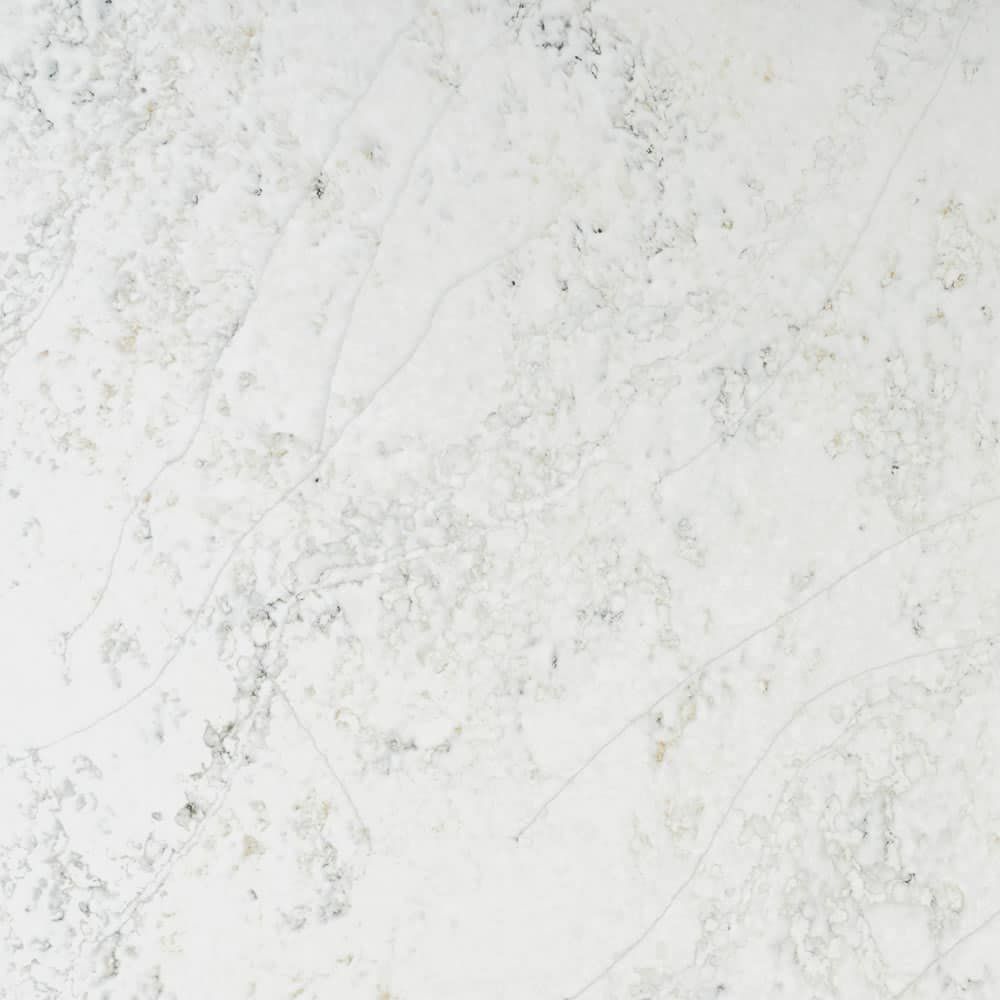 Venatino Seccia — full slab