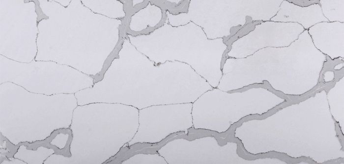 Calacatta Dove