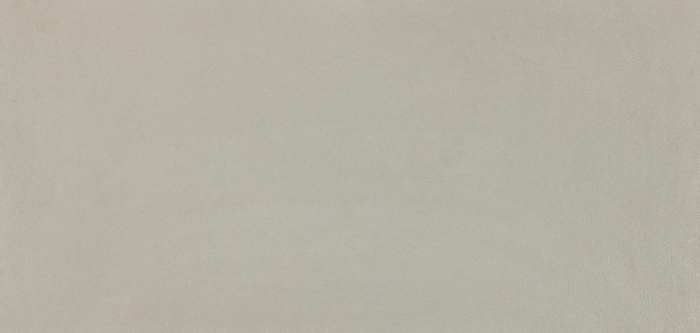 Pure Gray Light