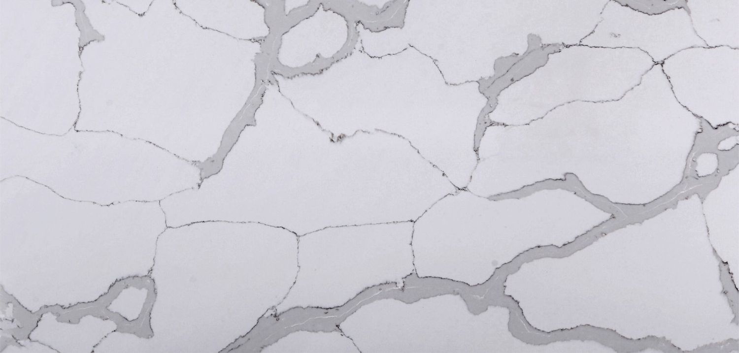 Calacatta Dove — full slab