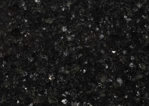 Black Coral