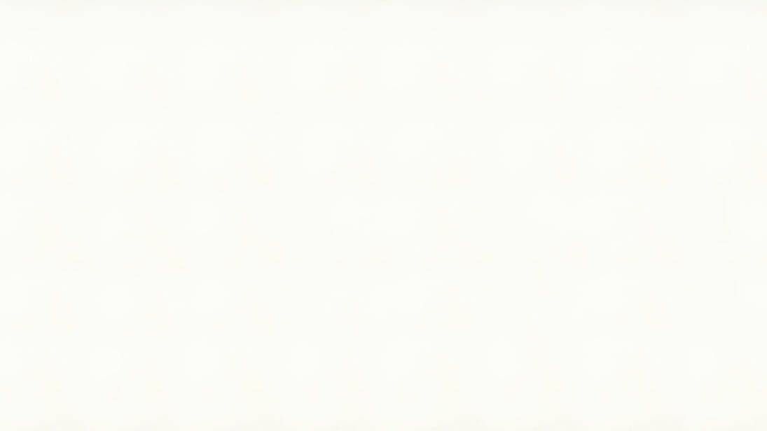 1111 Vivid White — full slab