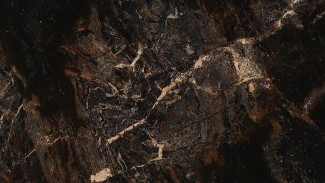 Mocha Black