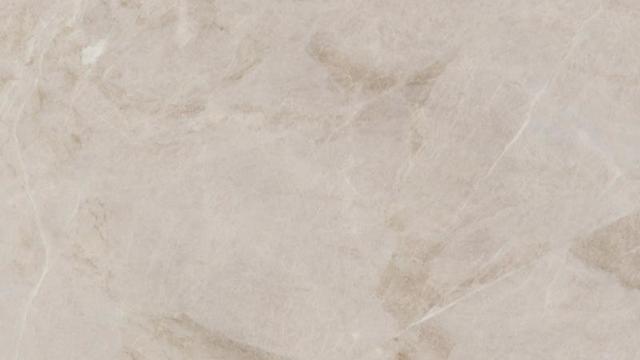 Taj Classic Leather