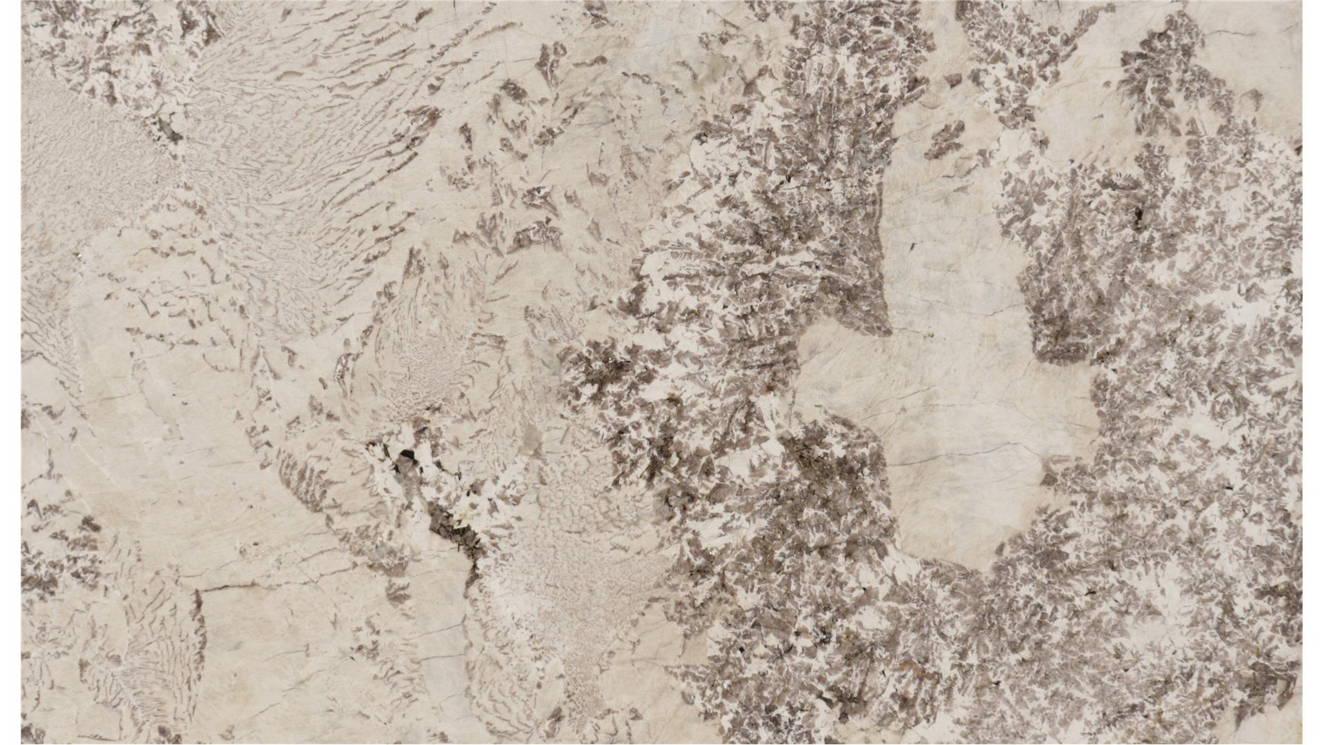 Anntoinette — full slab
