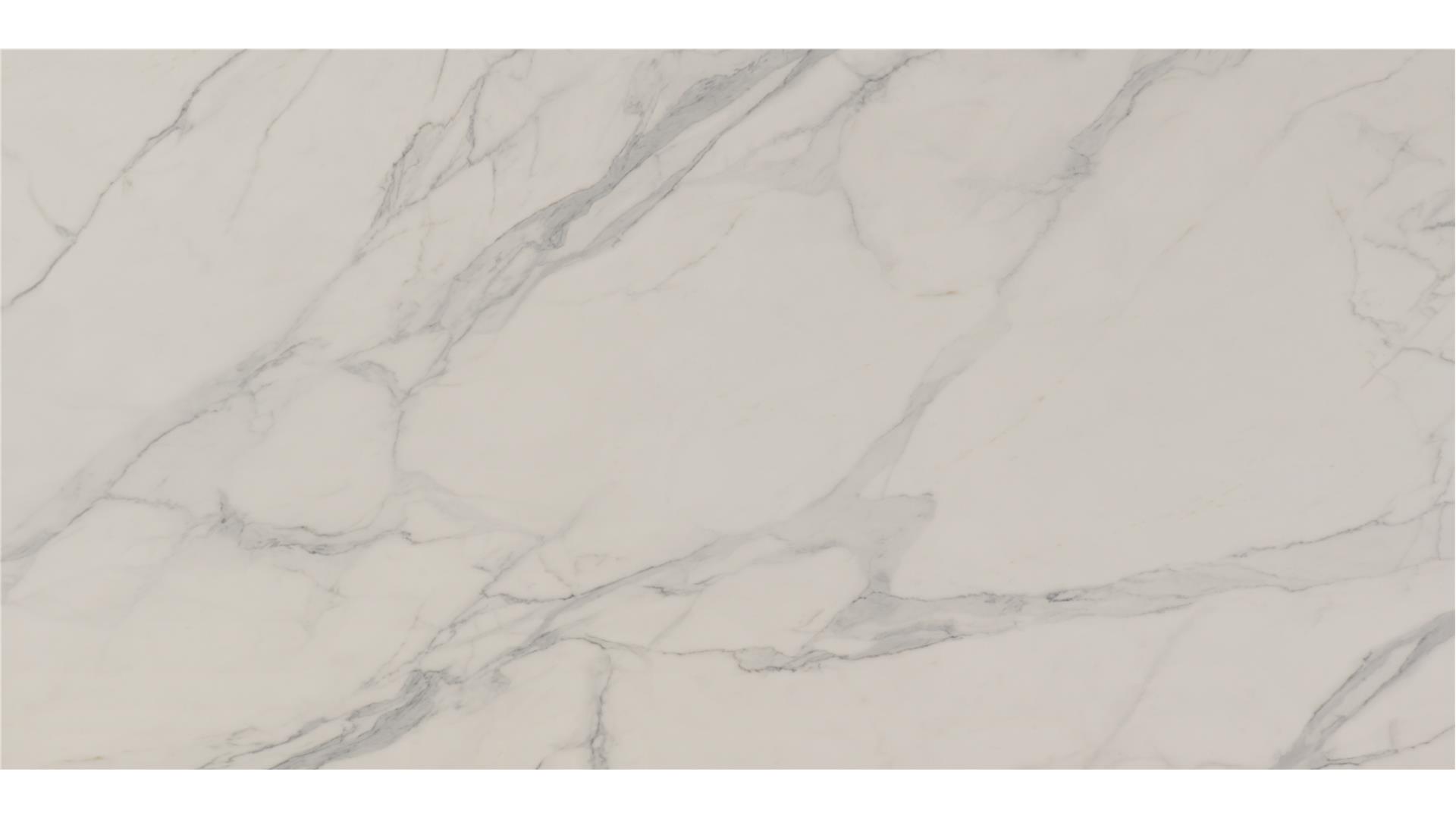 Calcatta Troy — full slab