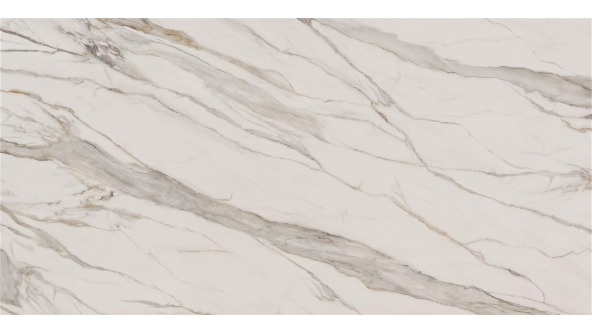 Calcatta Verona — full slab