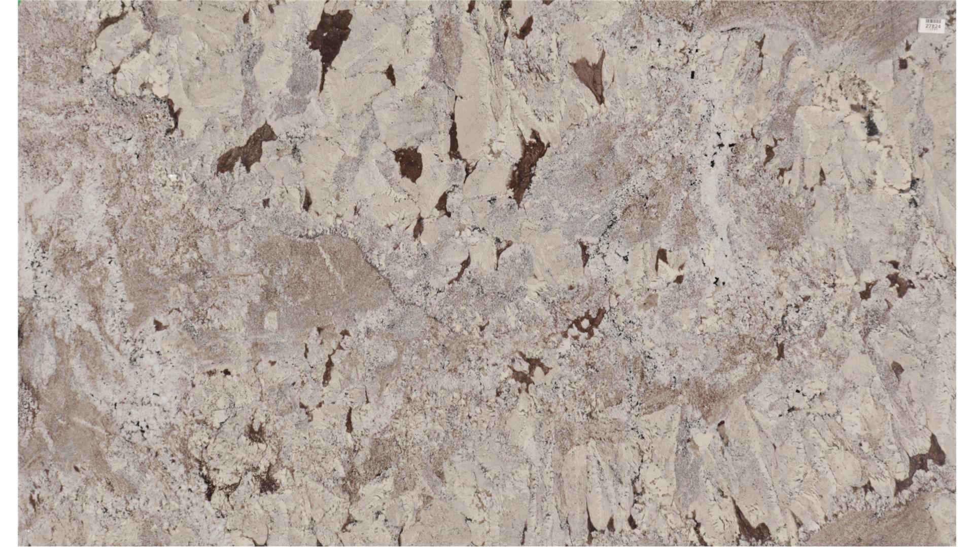 White Picasso — full slab