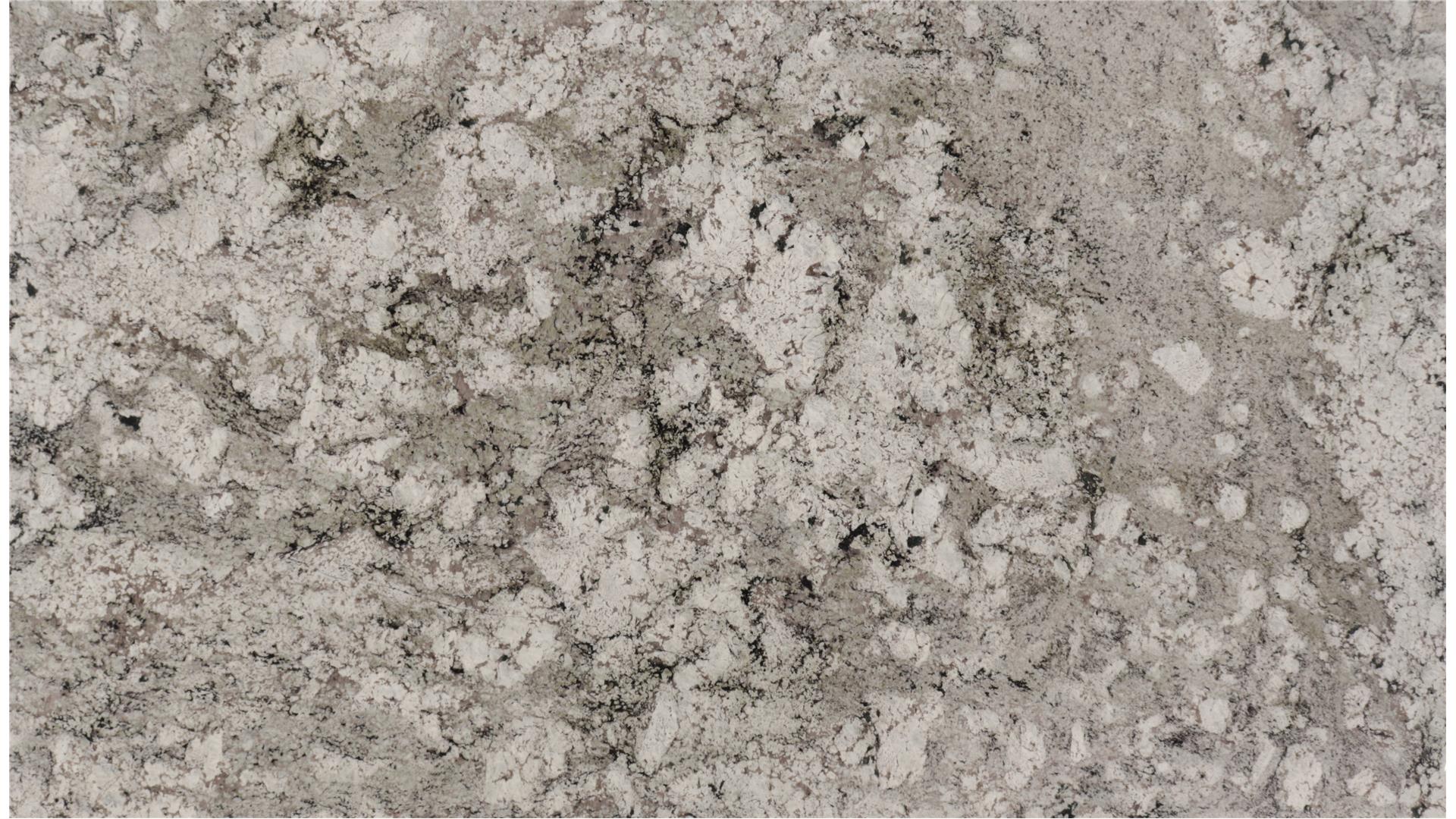 White Taupe — full slab