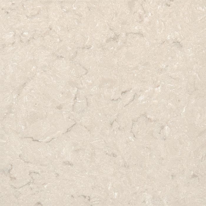 Oyster Grigio