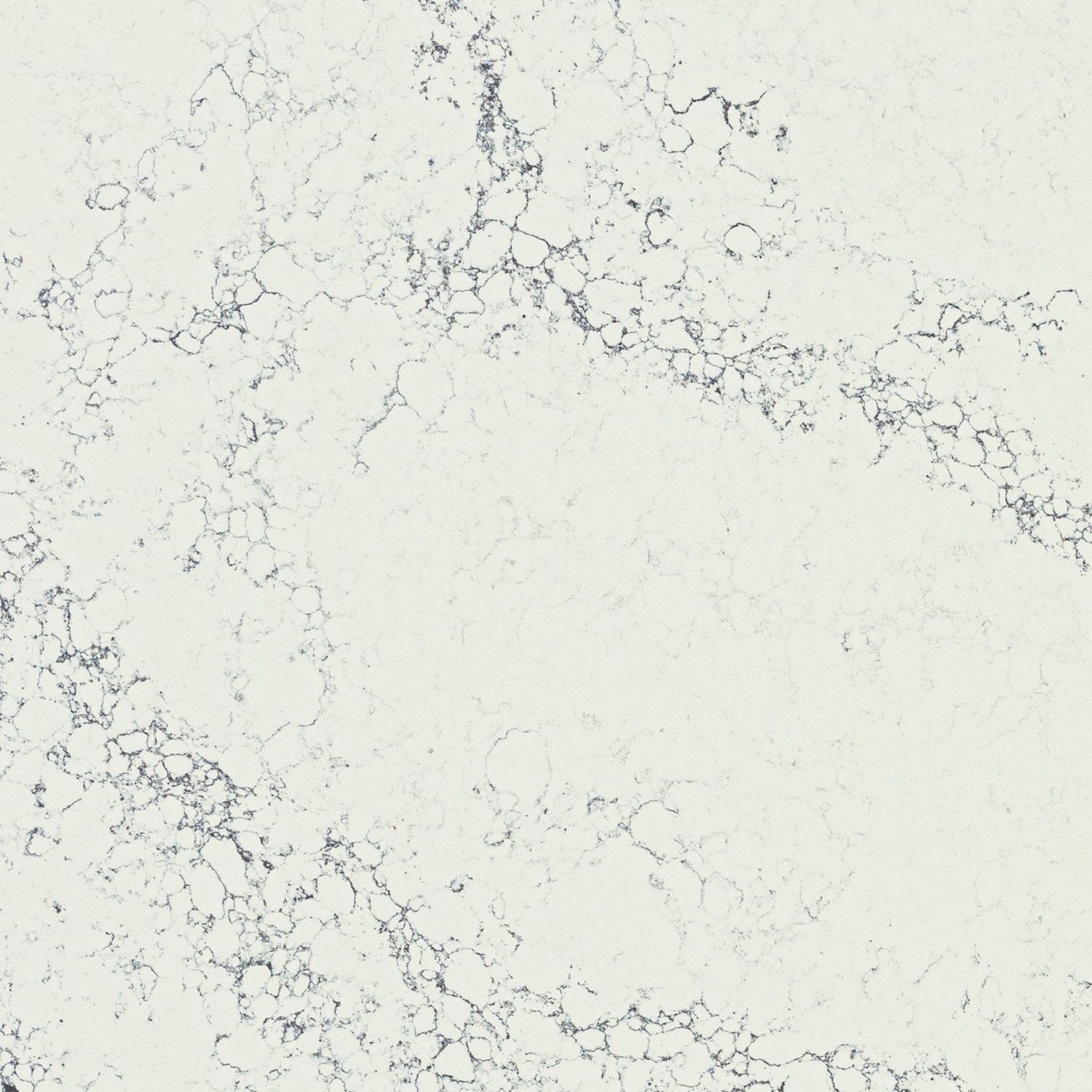 Arabescato Twilight — full slab
