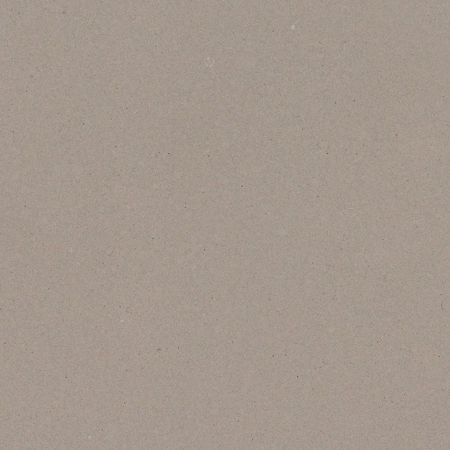 Ash Grey — full slab