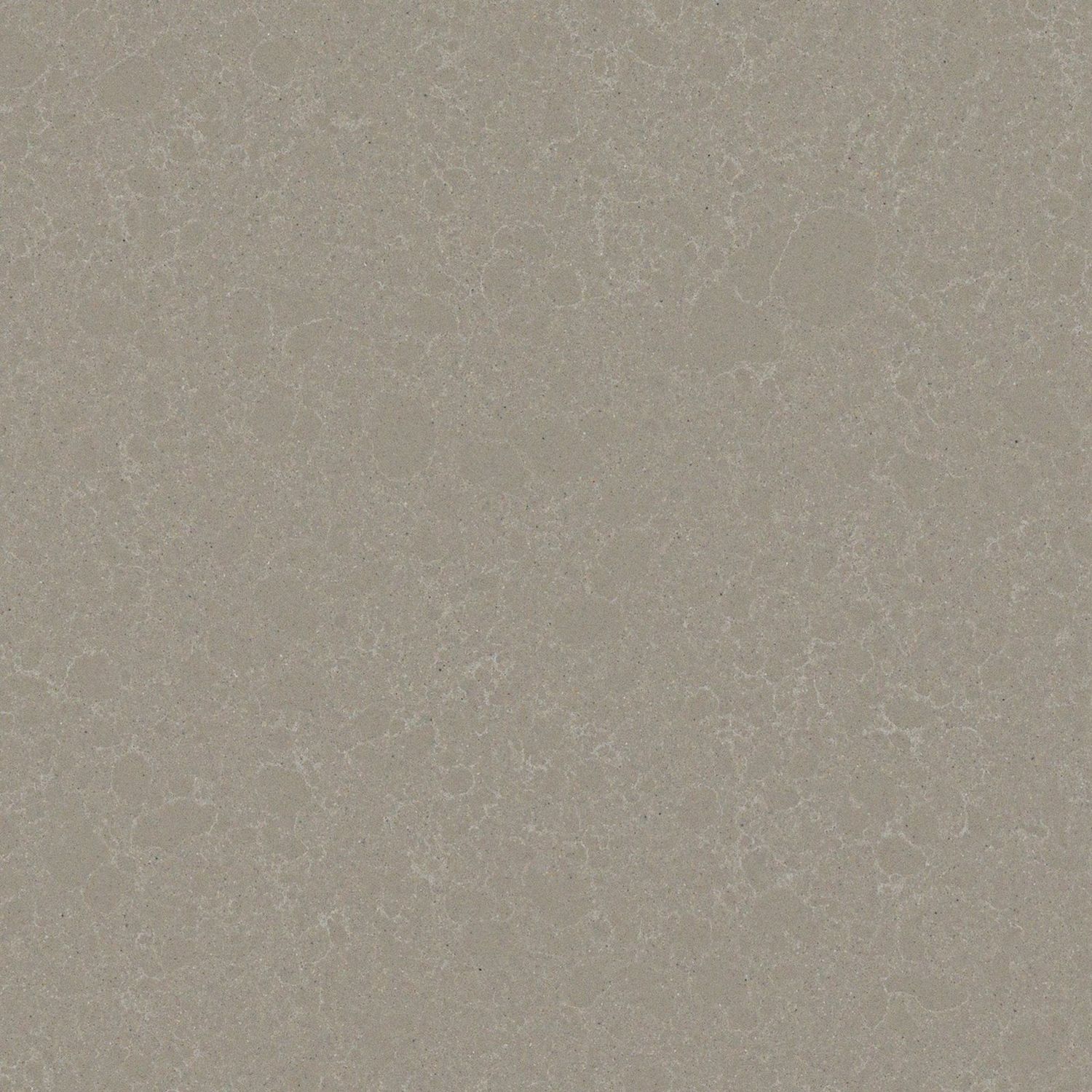 Cabrini Grey — full slab