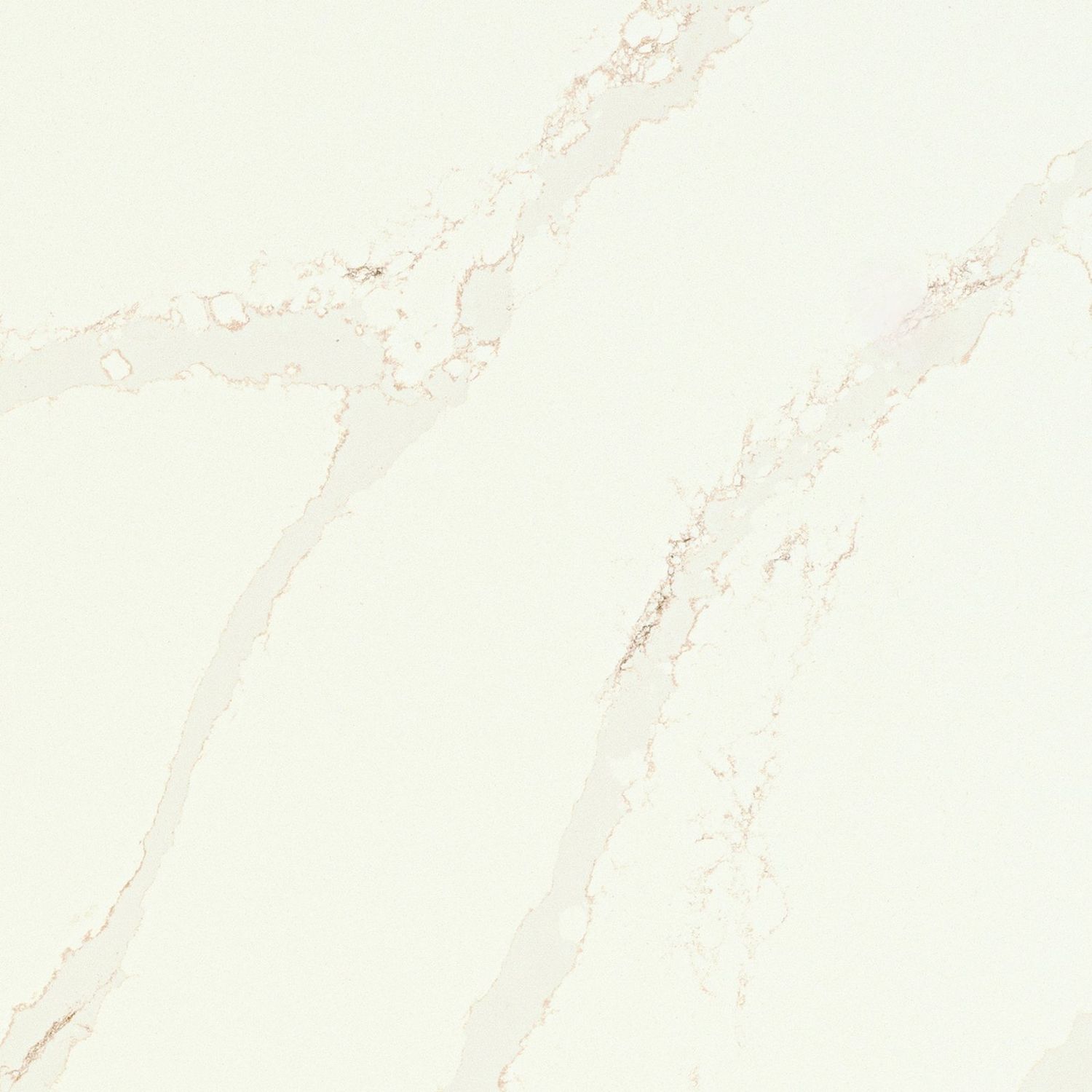 Calacatta Alabaster — full slab