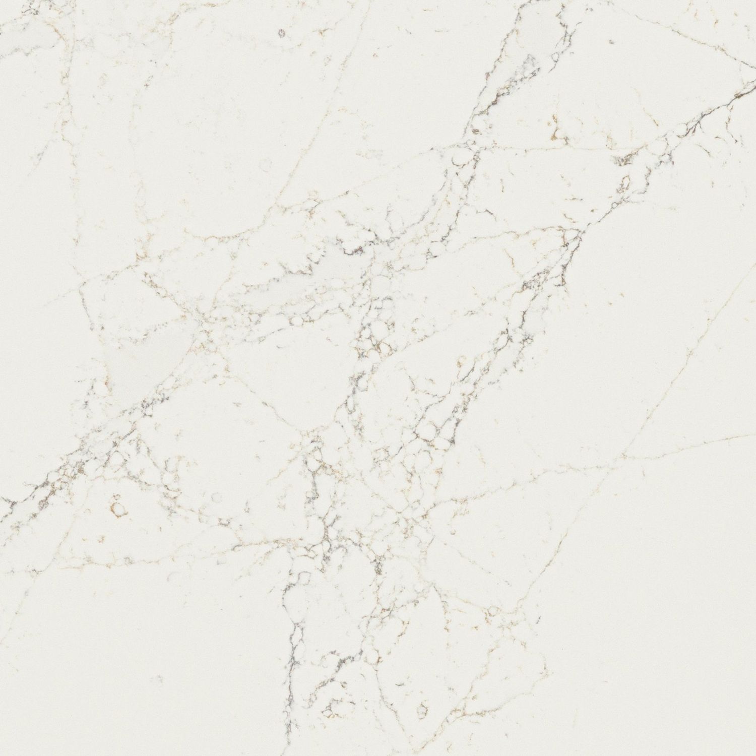 Calacatta Cathedral — full slab
