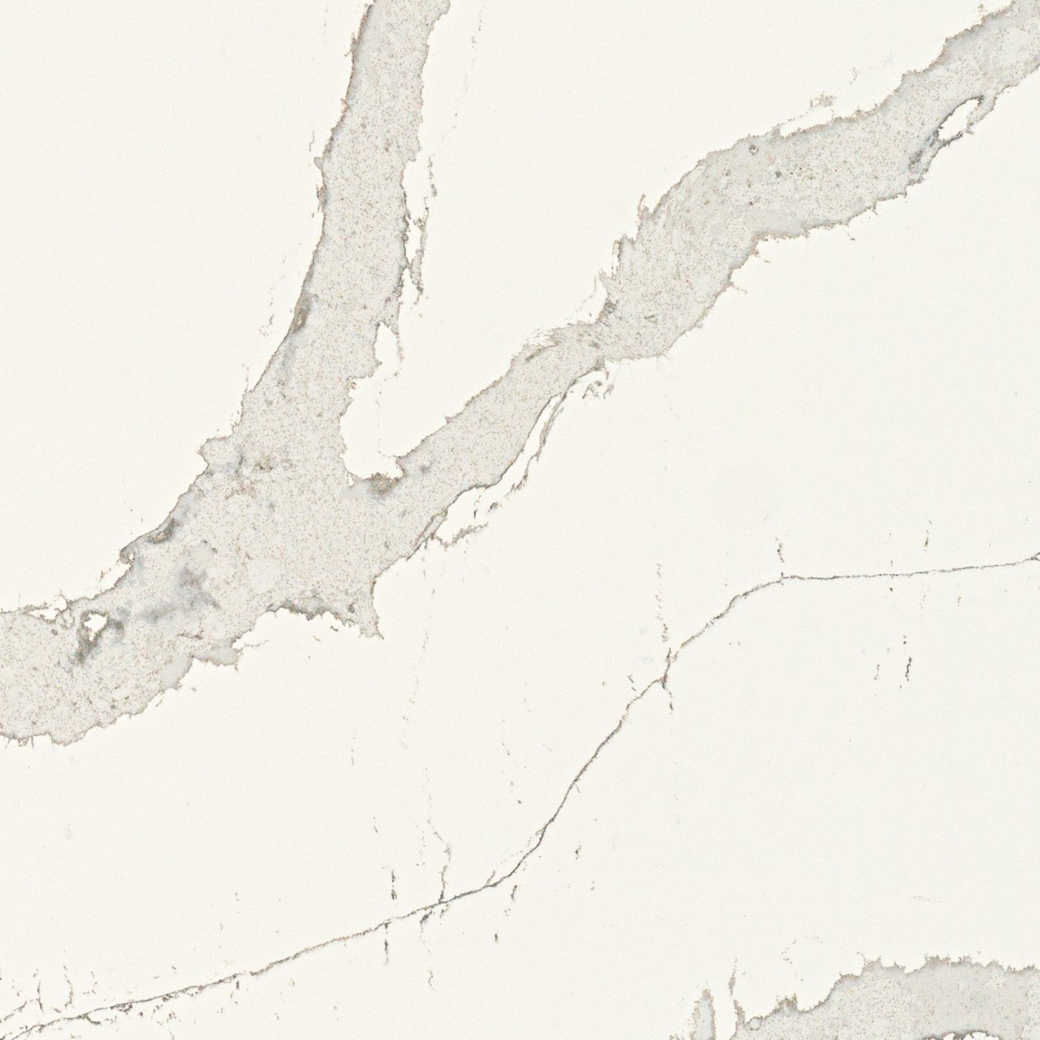 Calacatta Wisteria — full slab