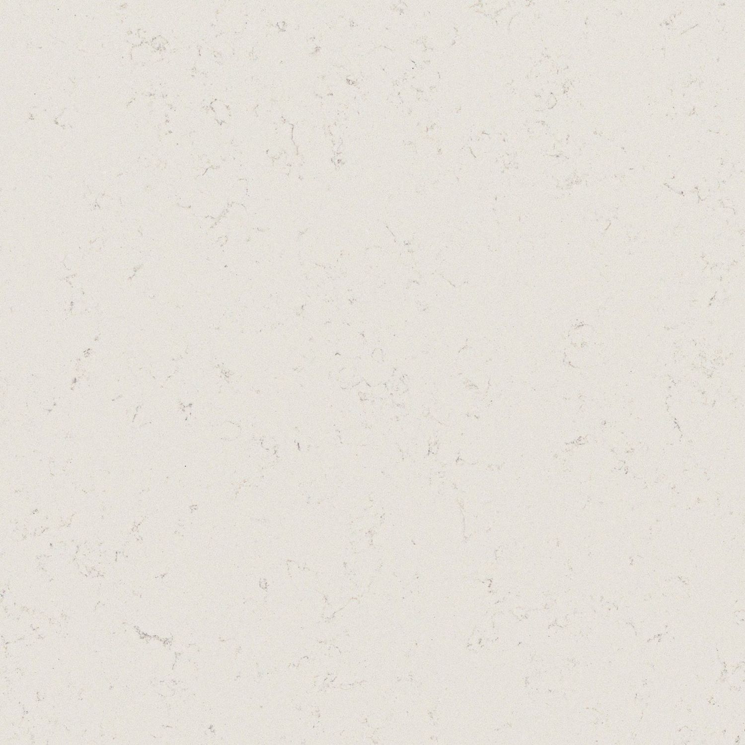 Jasmine White — full slab