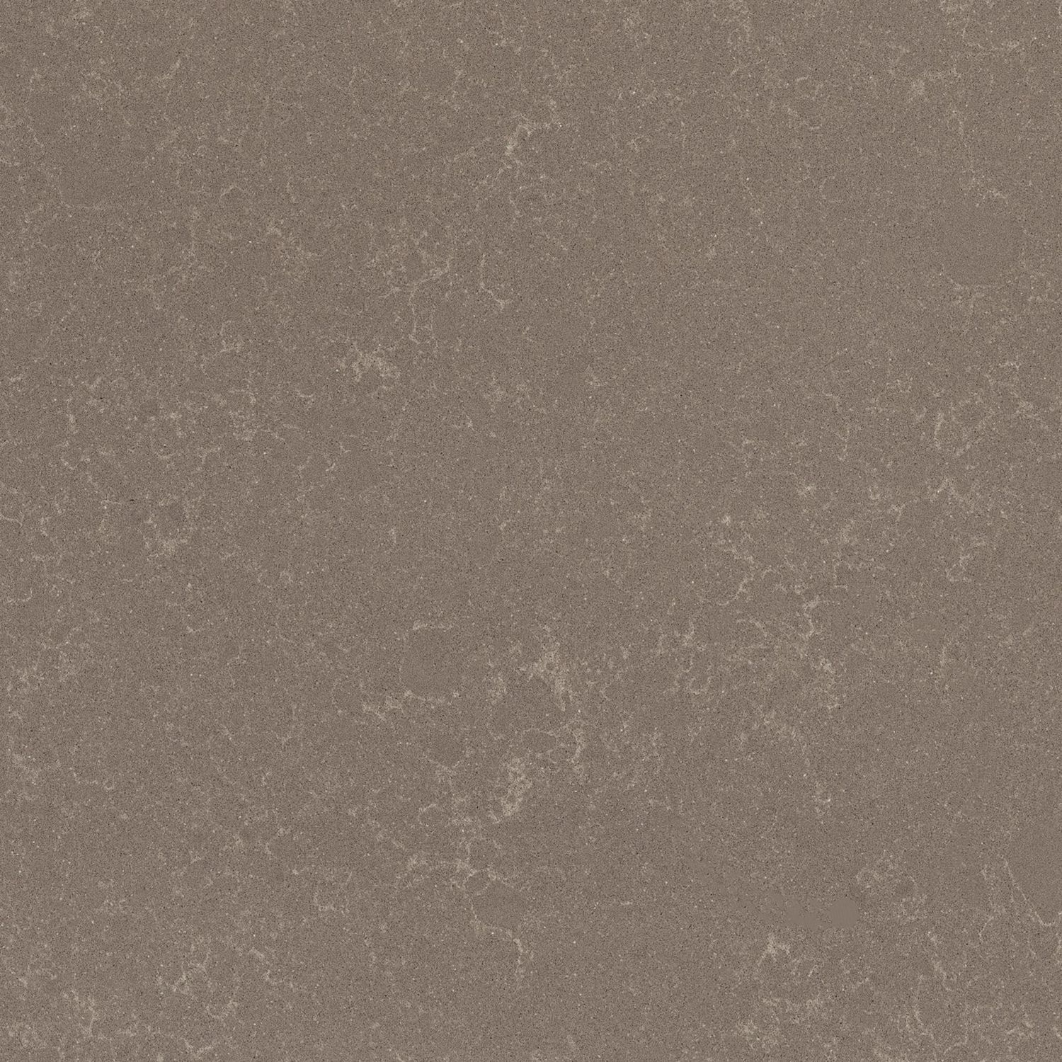 Ludlow Tan — full slab