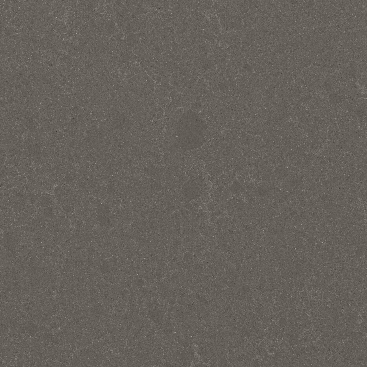 Mercer Grey — full slab