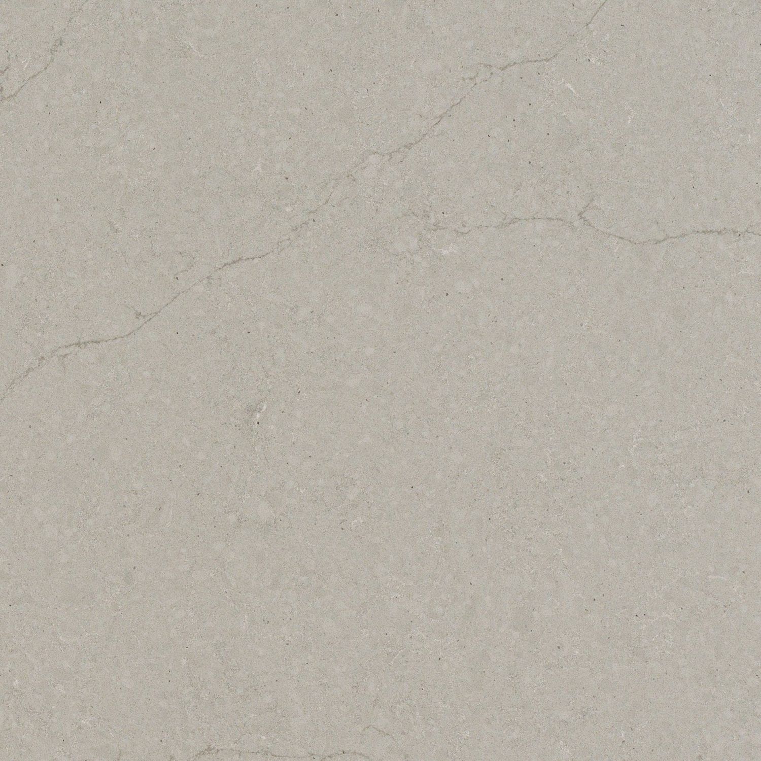 Noble Grey — full slab