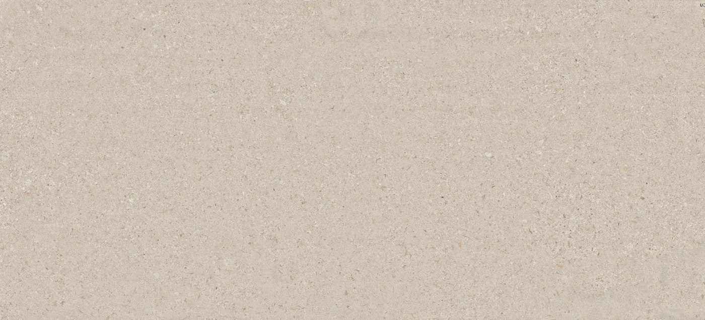 Avorio