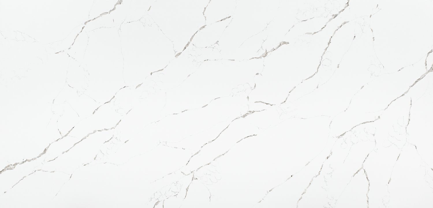Calacatta Extra — full slab