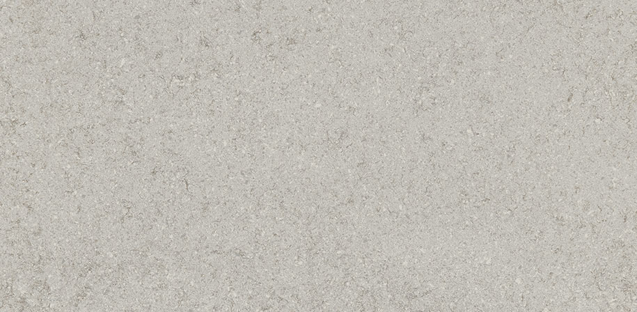 Gray Lagoon