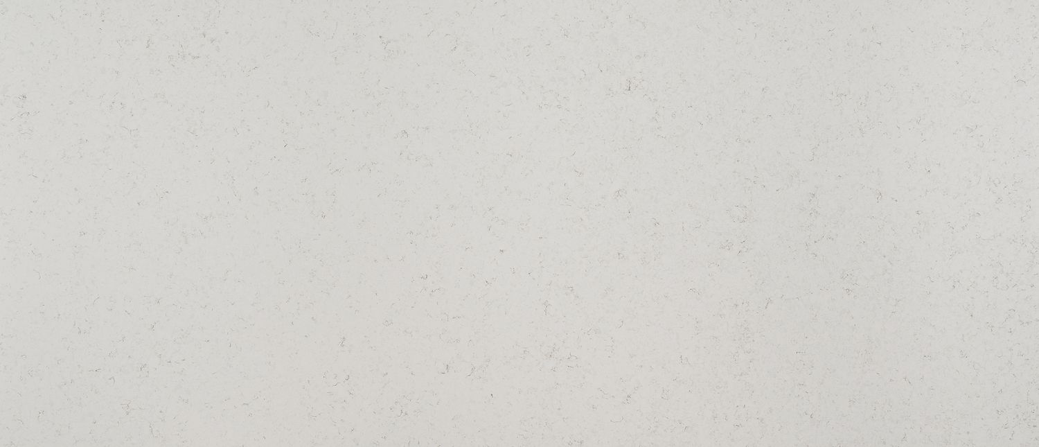 Blanca Statuarietto — full slab