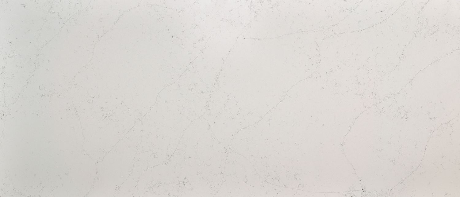 Calacatta Botanica — full slab