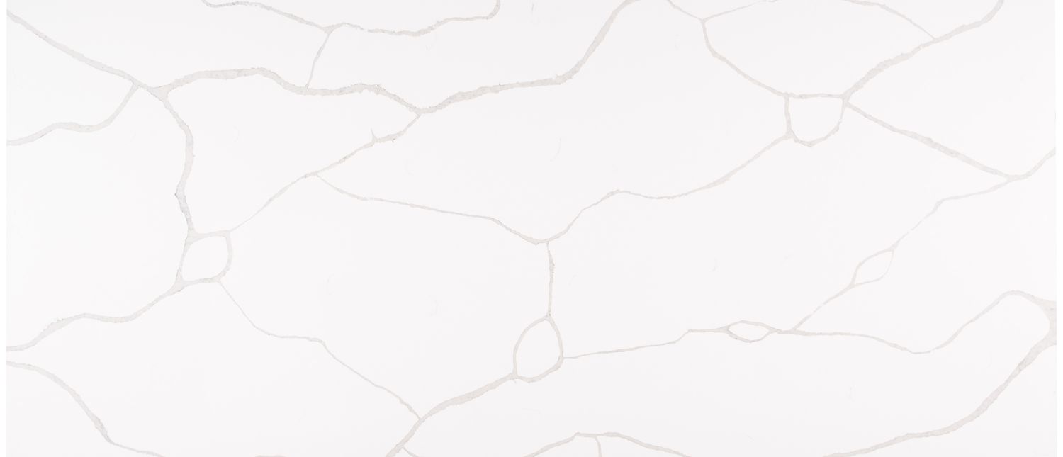 Calacatta Classique — full slab