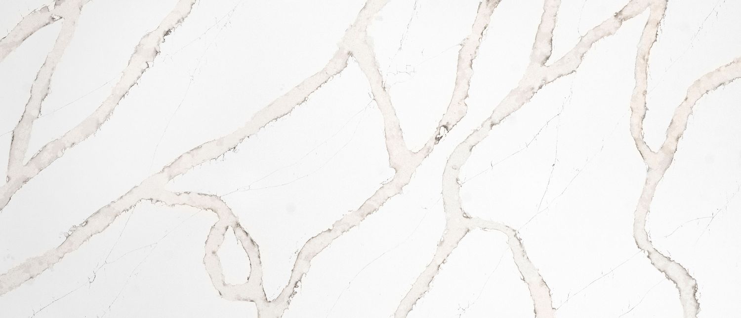 Calacatta Goa — full slab