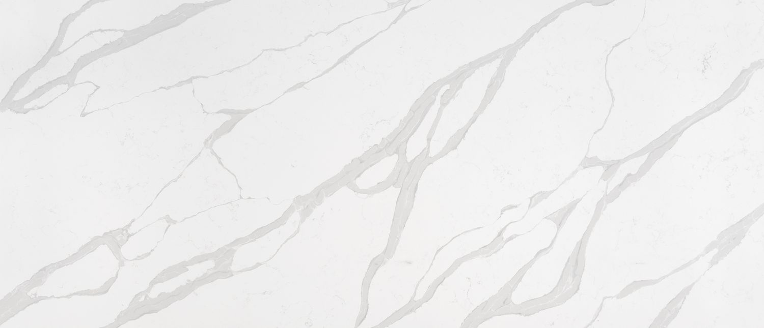 Calacatta Luccia — full slab