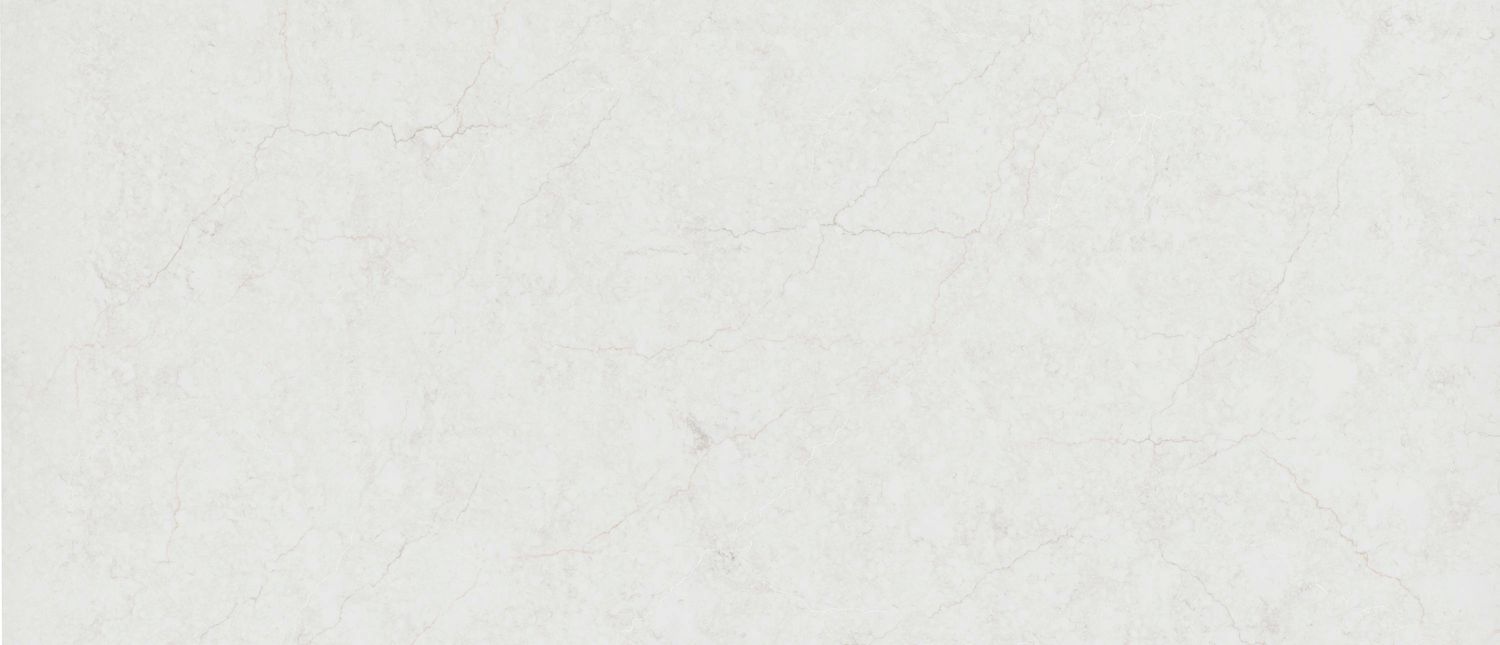 Calacatta Miraggio Cove Honed — full slab