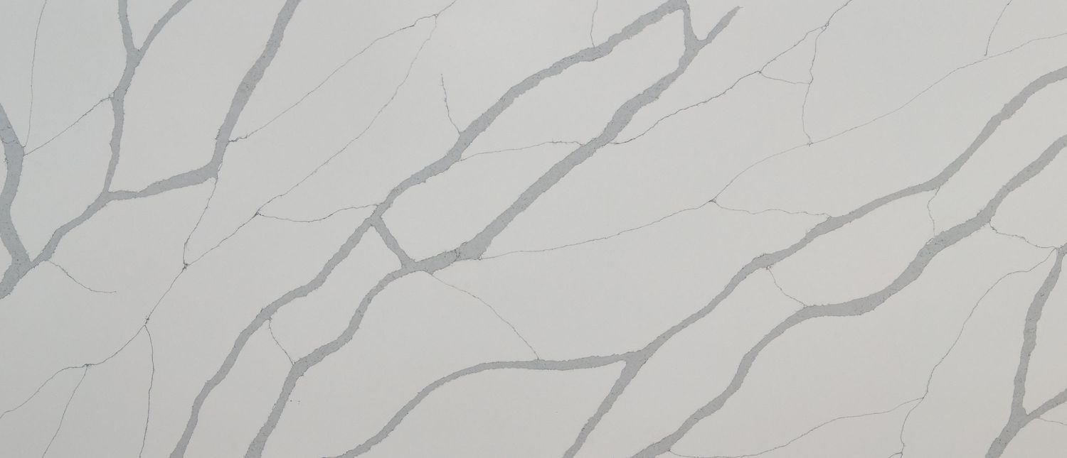 Calacatta Sierra — full slab