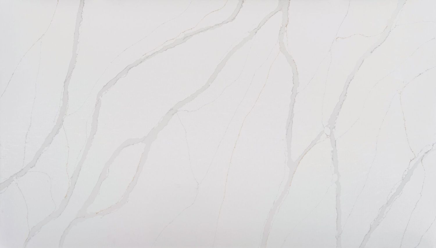 Calacatta Amara — full slab