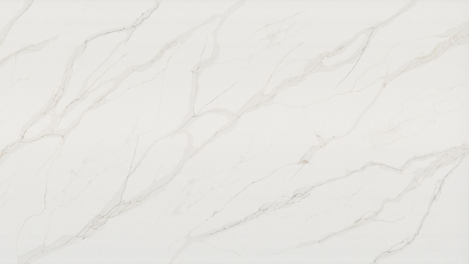 Calacatta Ashford — full slab
