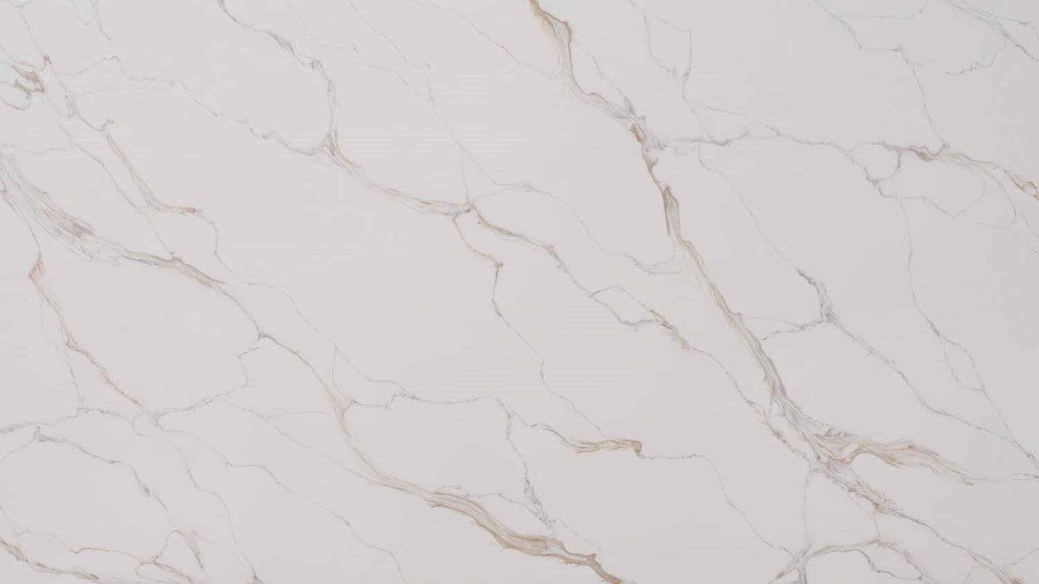 Calacatta Essex Gold — full slab