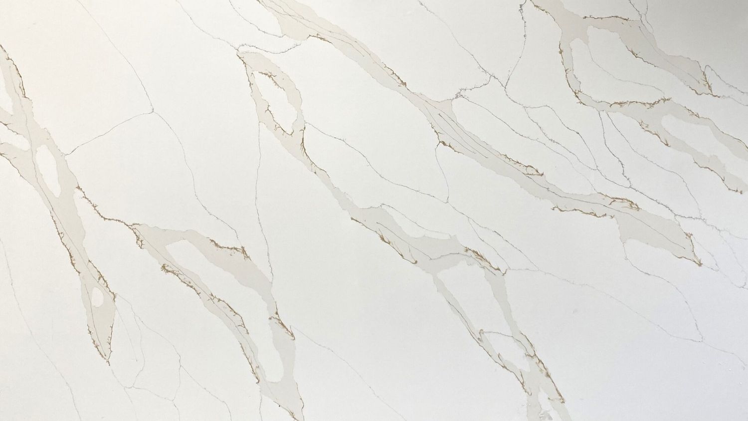 Calacatta Matisse Gold — full slab