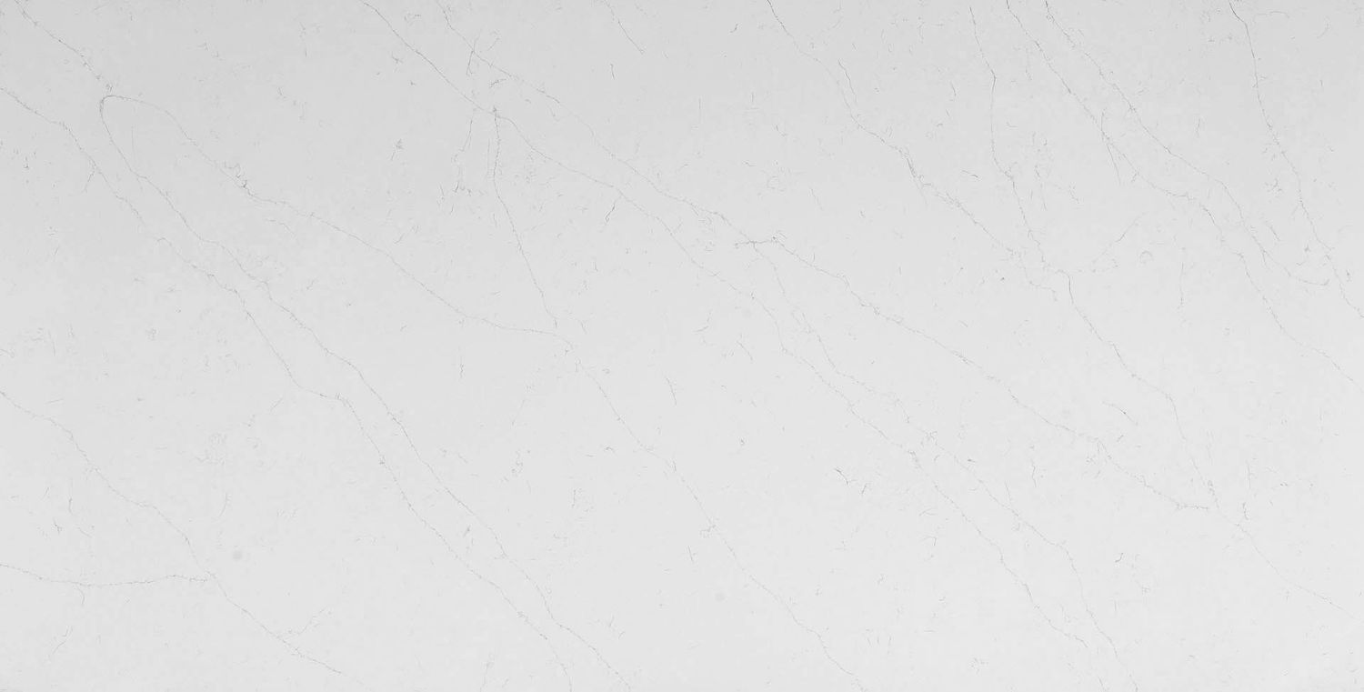 Calacatta Optima — full slab